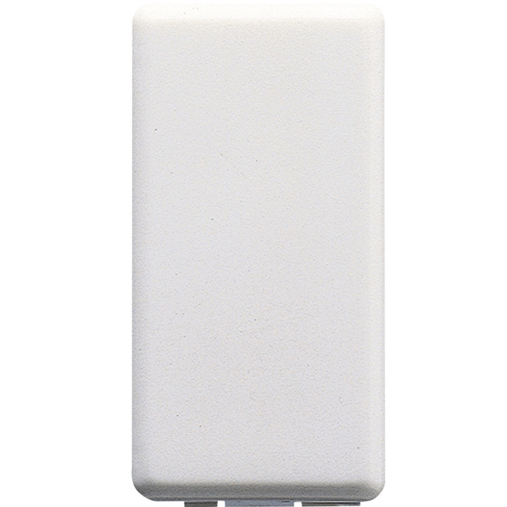 Gewiss System faux module GW20056