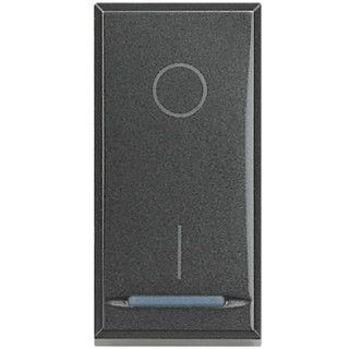 BTICINO AXOLUTE DOUBLE POLE SWITCH HS4002