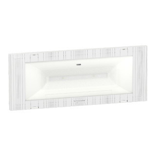 Schneider Exiway Easyled 11W Emergency Lamp OVA38388