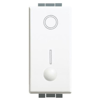 Bticino Luna Interruptor bipolar 16A C4002L
