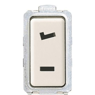 Toma de corriente bipolar especial Bticino 5020N