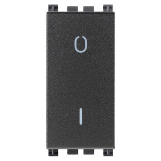 Interruptor luminoso Vimar Arke 2P 16A Gris