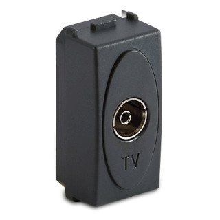 Master Modo Through TV socket 31255