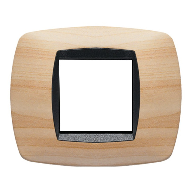 Plaque Master Modo 2 modules couleur cendre 39TC442