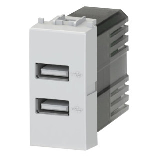 Doble toma USB 4Box 2.4A para Bticino LIVINGLIGHT gris 4B.NT.USB.24