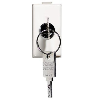 Bticino Matix interruptor de llave 2P 10A AM5007