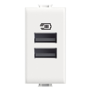 Chargeur USB Bticino MATIX 15W avec 2 ports type A AM4191AA