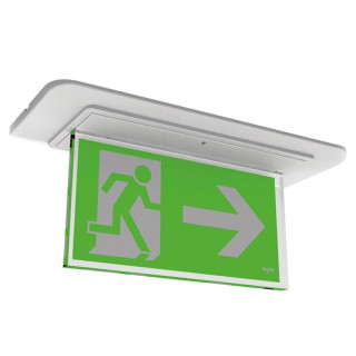 Beghelli DESIGN LED flag screen Dx-Sx with pictogram 4267