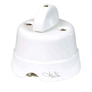 Fanton 10AX 250V ceramic rotary wall switch