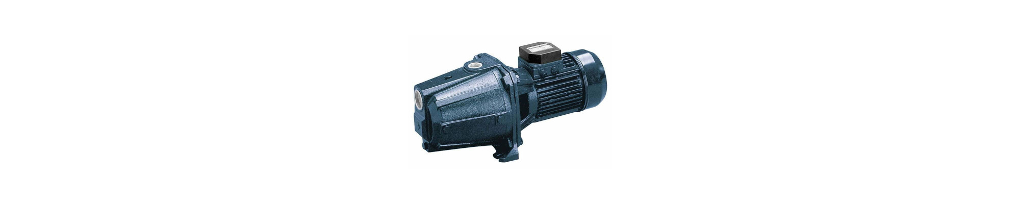 Ebara Pumps: Catalogue, Price List and Opinions