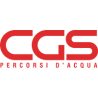 Cgs